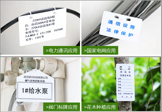碩方線(xiàn)路掛牌打印機SP350打印效果圖