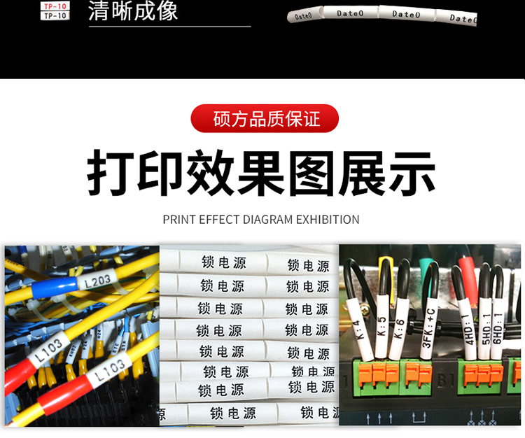 TP60i碩方中文電子線(xiàn)號機